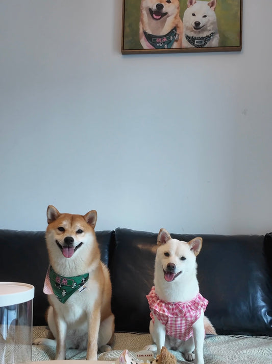 Custom Puppy dog drool bibs pinafore