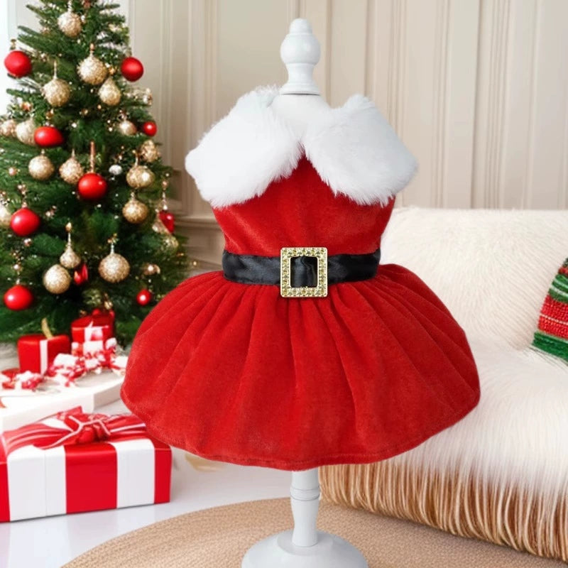 Winter Plush Princess Dress (Customized for Poodle/Shiba)