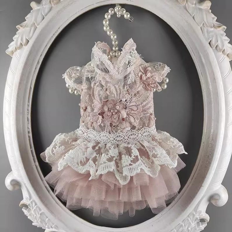 Summer Lace Embroidery Princess Garden Dress